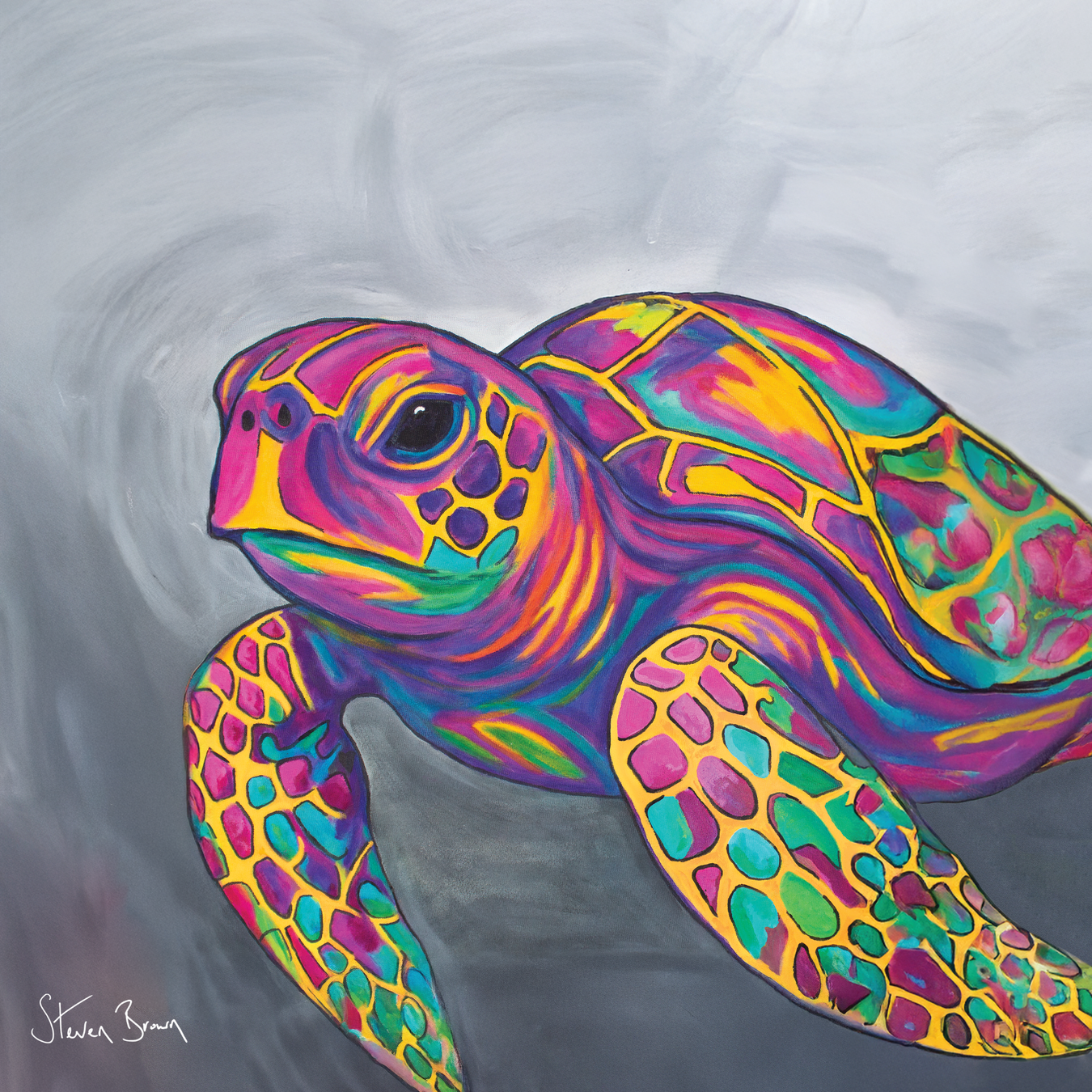 Tommy McZoo - Colourful Turtle Art