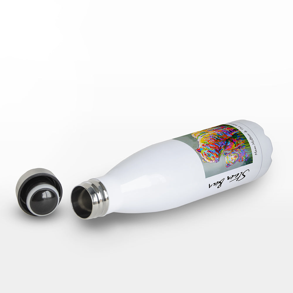 Stainless Steel Drinks Bottles