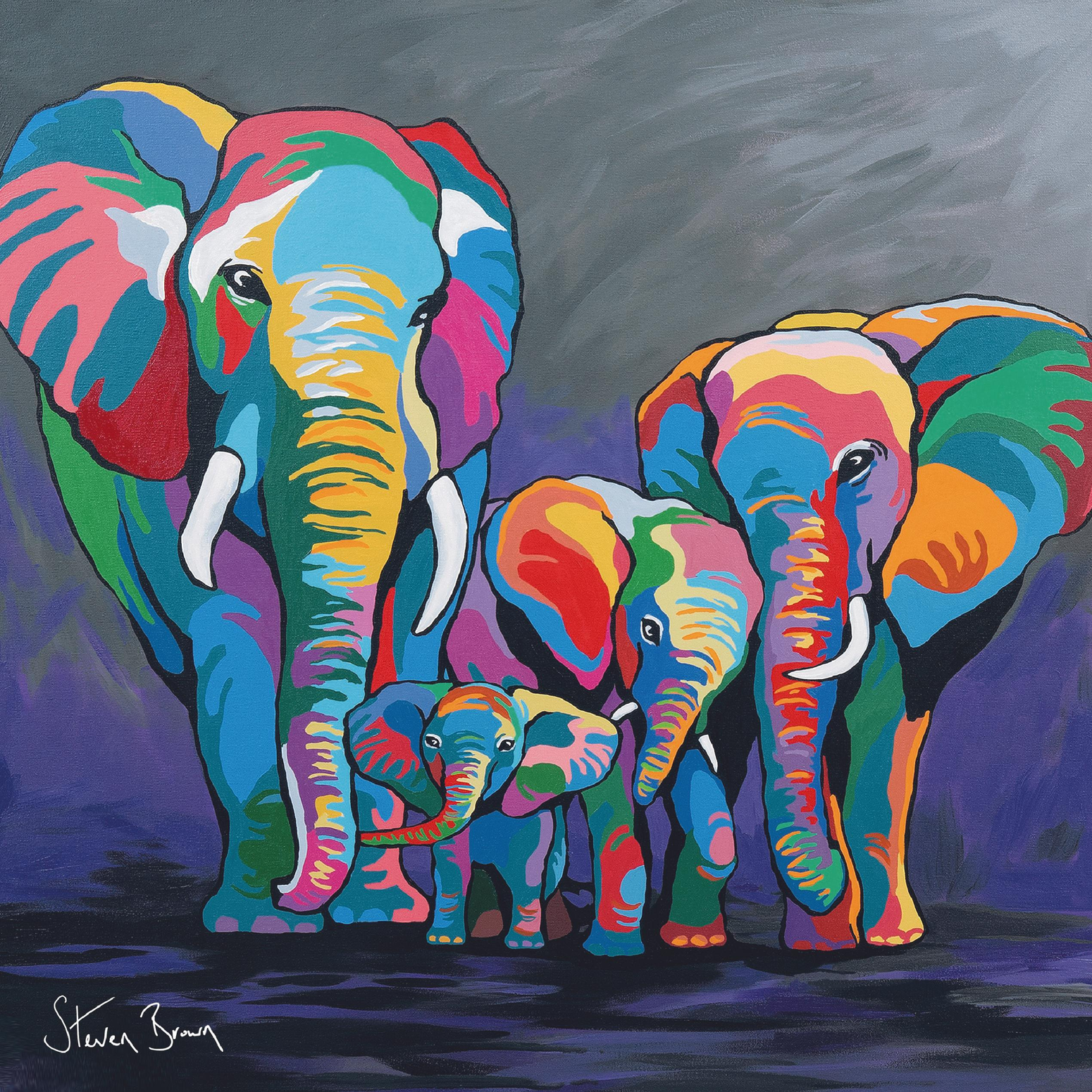 Multi-Coloured Elephant Art by Steven Brown