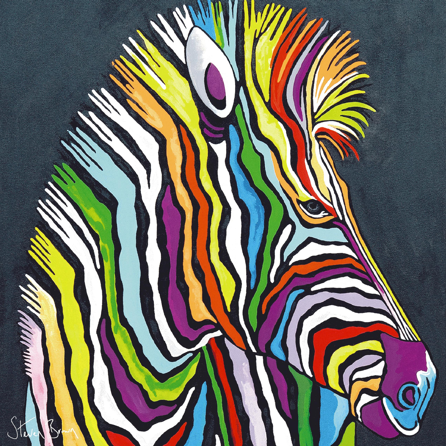 Multi-Coloured Zebra Art by Steven Brown