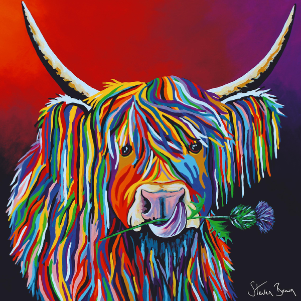 Lizzie McCoo Colourful Highland Cow Art | Steven Brown Art