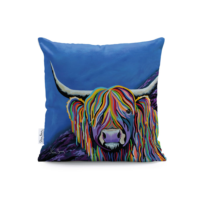 Billy McCoo - Cushions