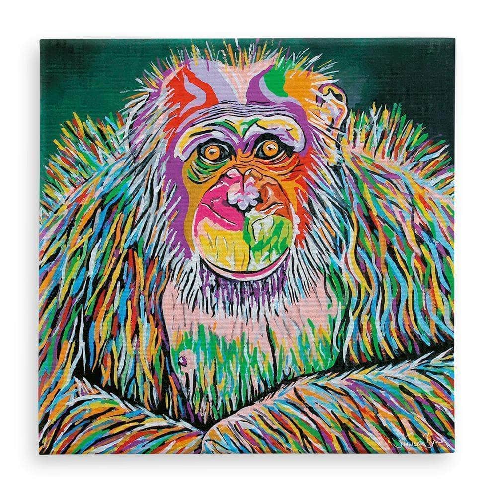 Boris McZoo Colourful Chimpanzee Canvas | Steven Brown Art