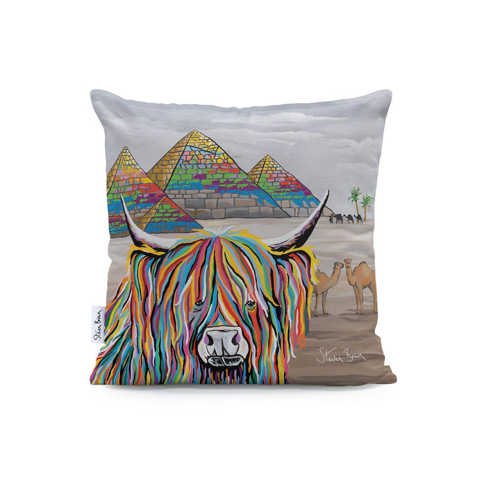 Caroline McCoo - Cushions