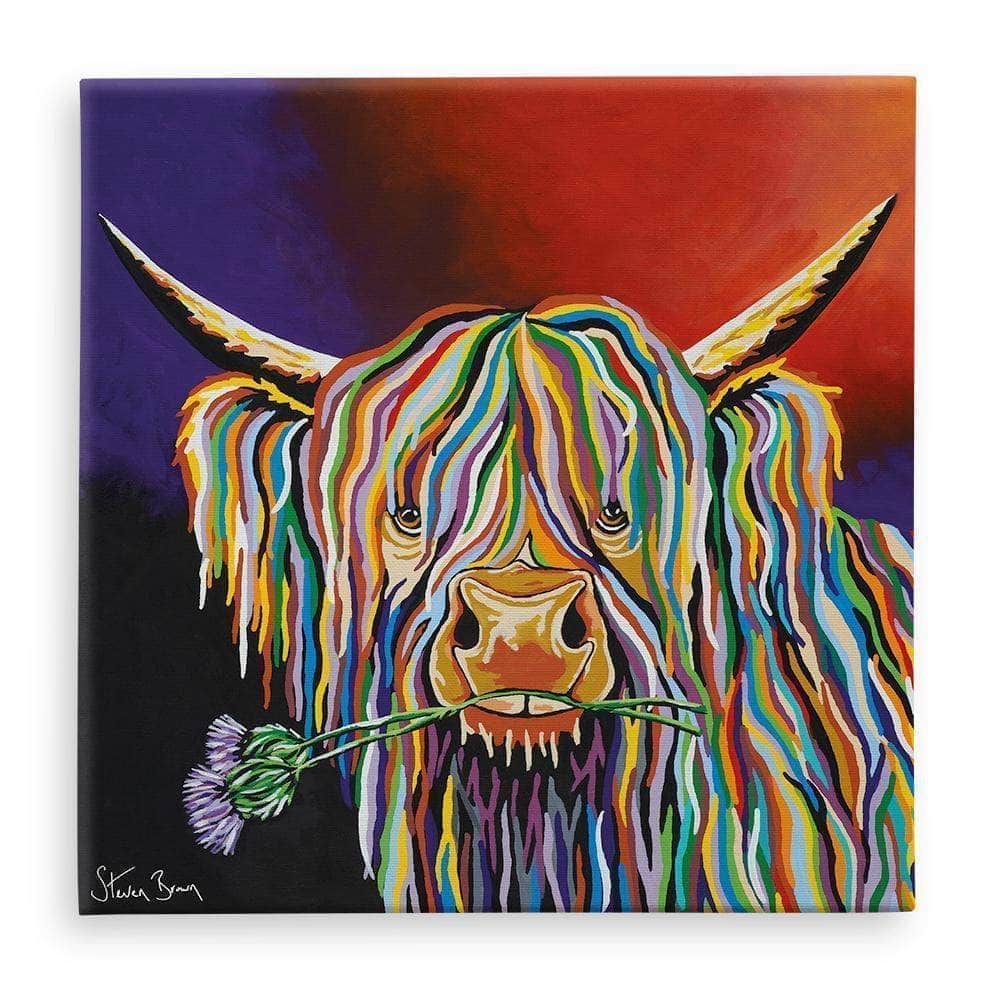 Dougie McCoo Highland Cow Canvas | Steven Brown Art