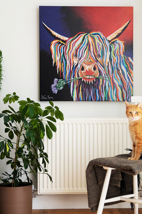 Dougie McCoo steven brown art