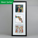 Giraffes Collection - Triptych