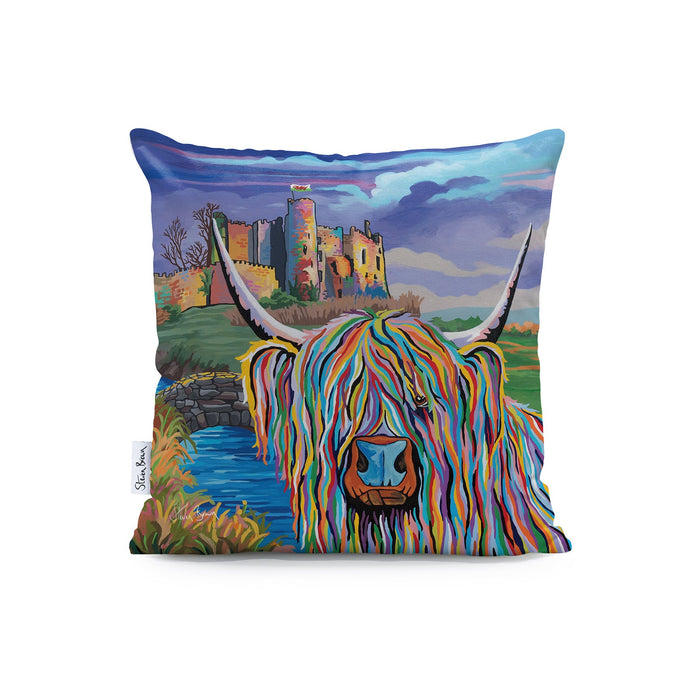 Janet McCoo - Cushions