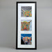 Mr McCoos Collection - Triptych