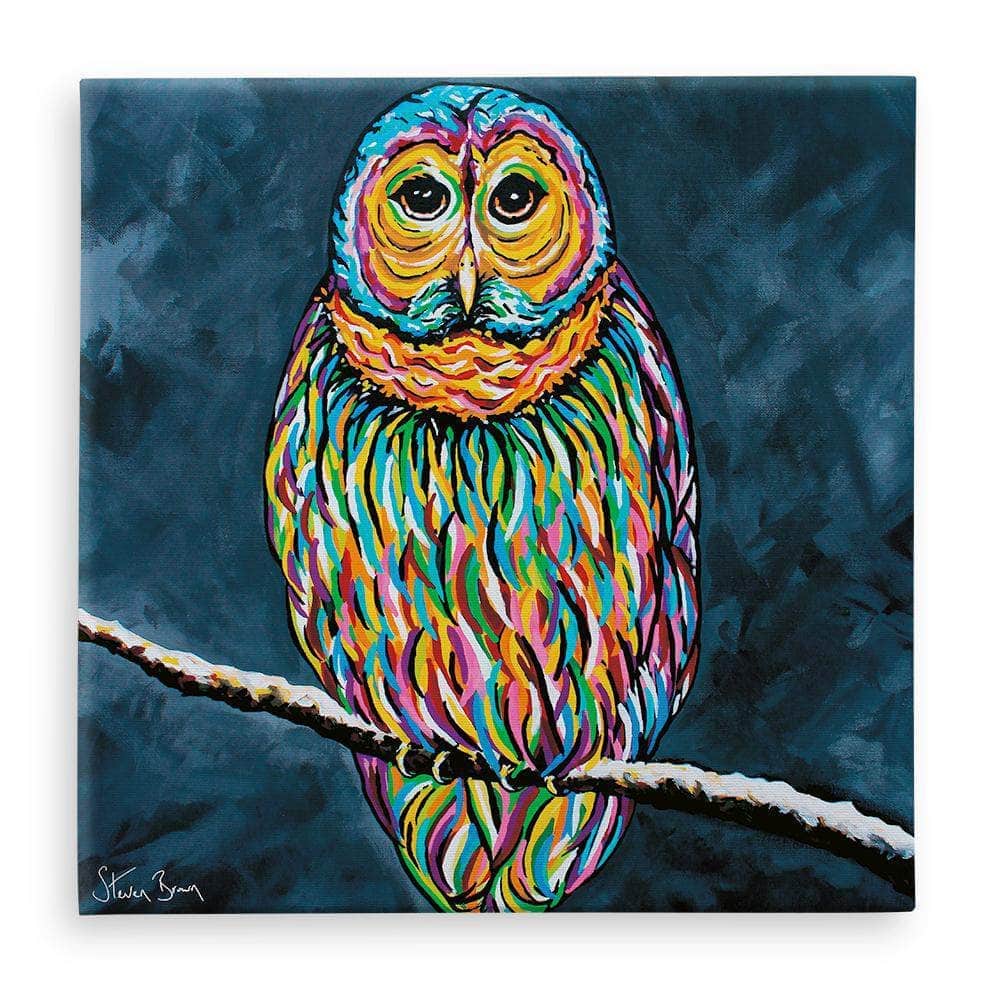 Ollie McOwl Colourful Owl Canvas | Steven Brown Art