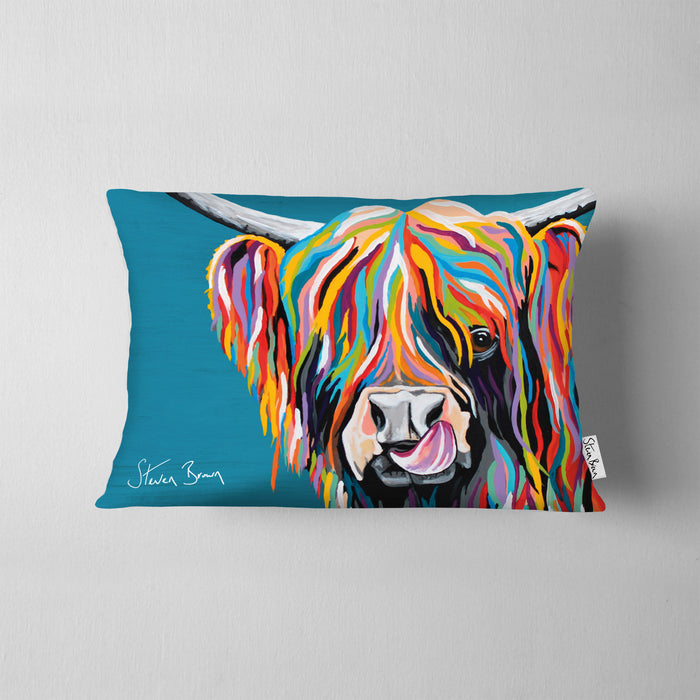 Rainbow Heather McCoo - Cushions