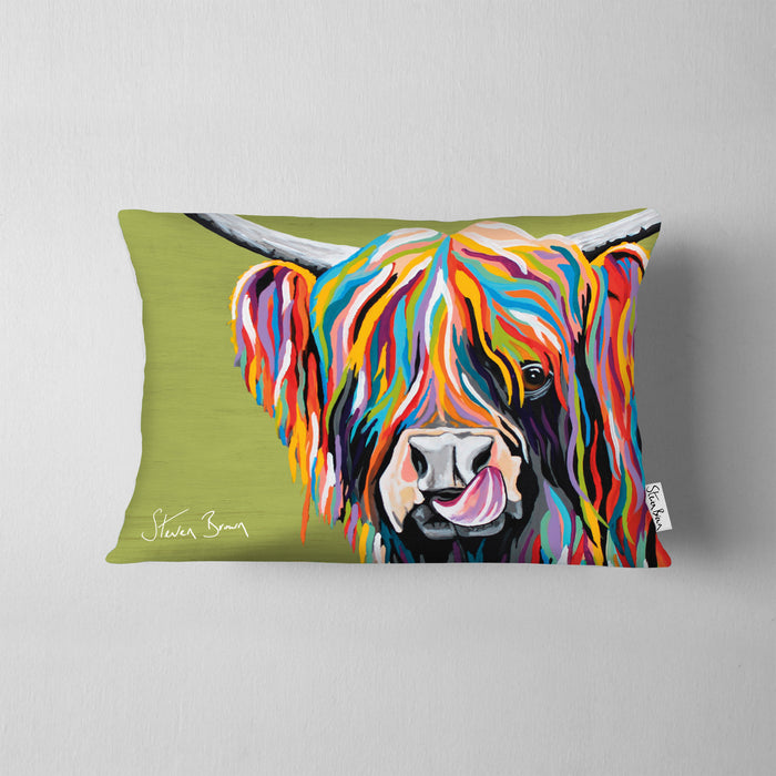 Rainbow Heather McCoo - Cushions
