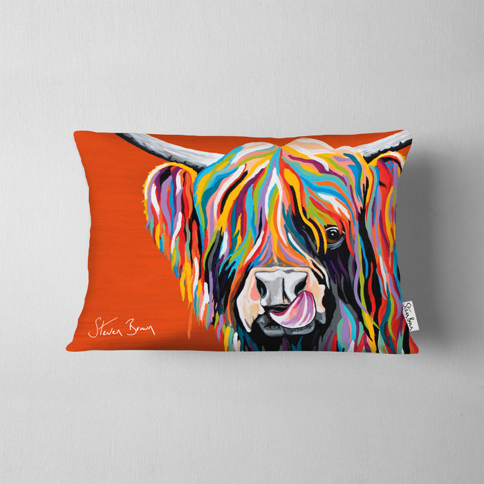 Rainbow Heather McCoo - Cushions