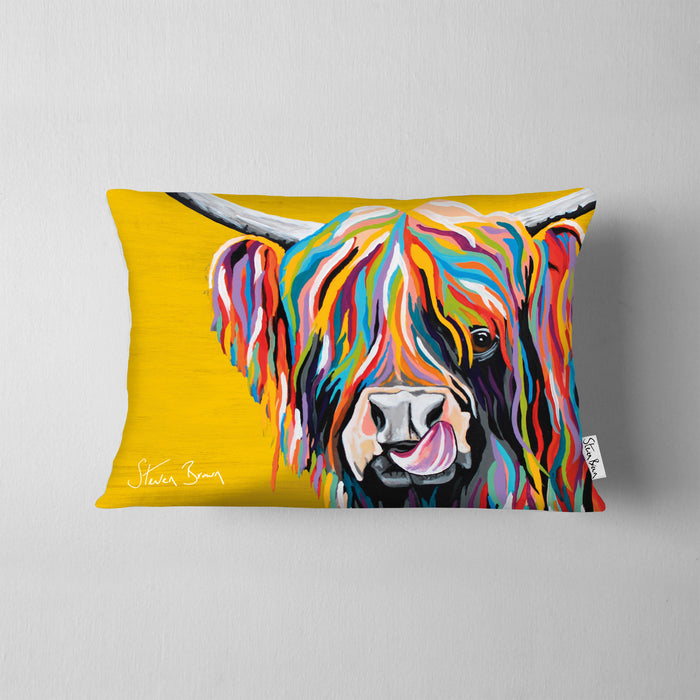 Rainbow Heather McCoo - Cushions