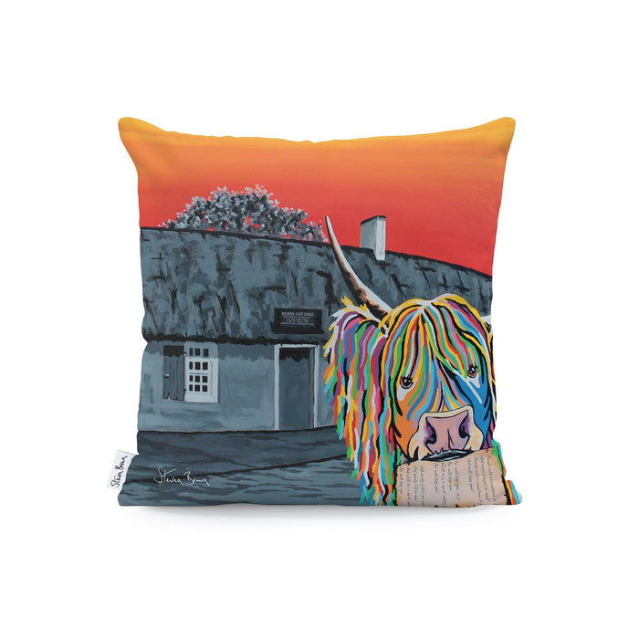 Rabbie McCoo - Outdoor Cushions