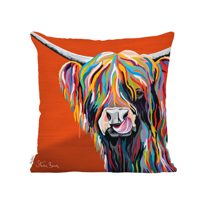 Rainbow Heather McCoo - Cushions