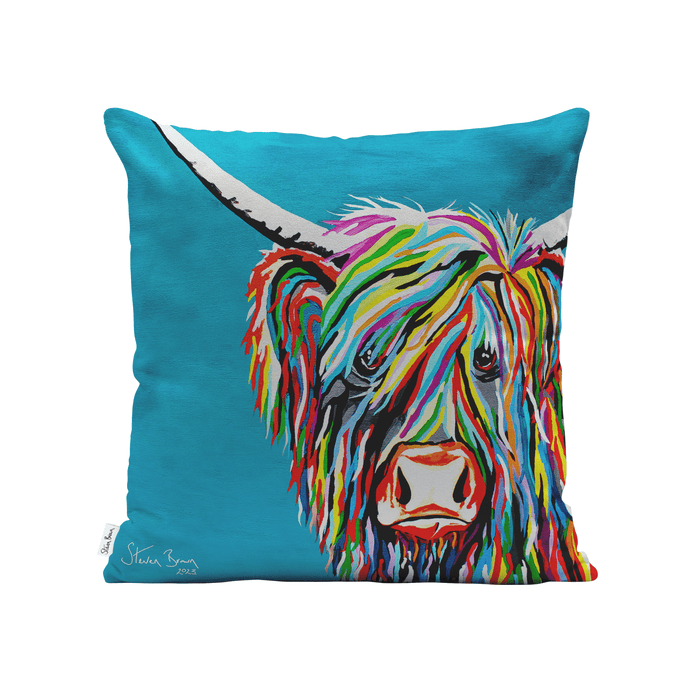Rainbow Rab McCoo - Cushions