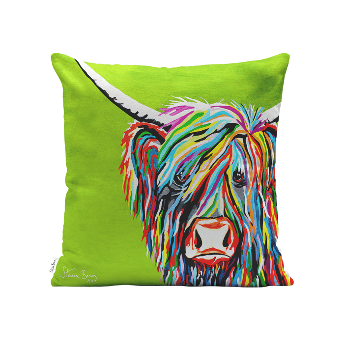 Rainbow Rab McCoo - Cushions
