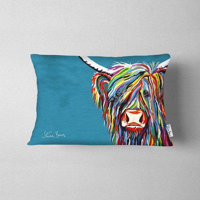 Rainbow Rab McCoo - Cushions