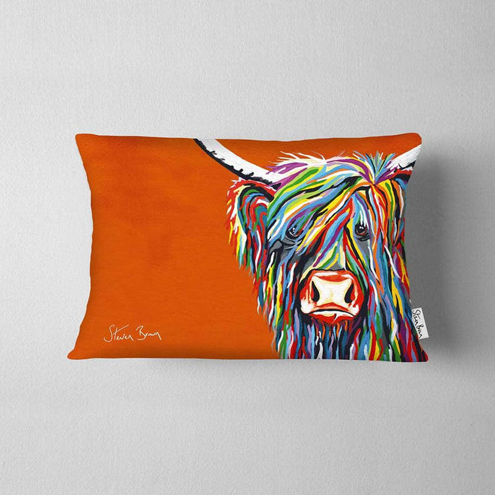 Rainbow Rab McCoo - Cushions