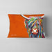 Rainbow Rab McCoo - Cushions