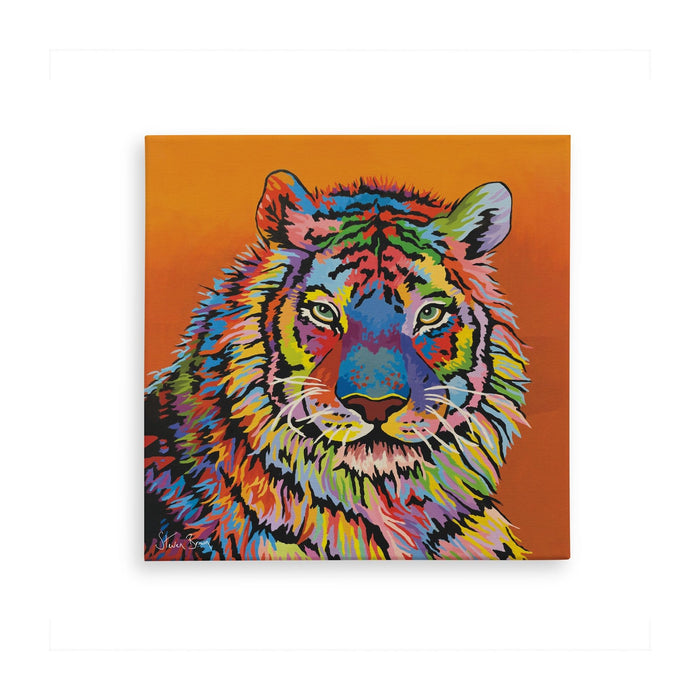 Steven McZoo - Canvas Prints