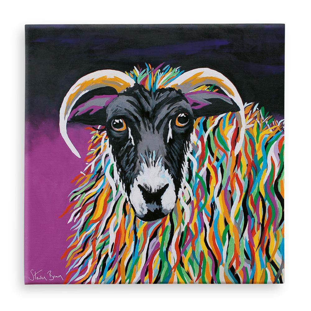 Shug McEwe Colourful Sheep Canvas | Steven Brown Art
