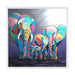 Allan & Jackie McZoo - Framed Limited Edition Aluminium Wall Art