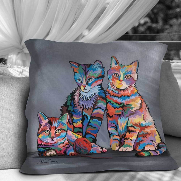 Barbara, Doris & Jack McCheety - Cushions