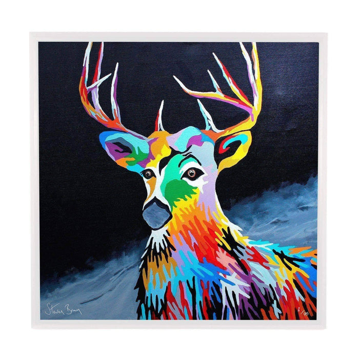 Donald McDeer - Framed Limited Edition Aluminium Wall Art