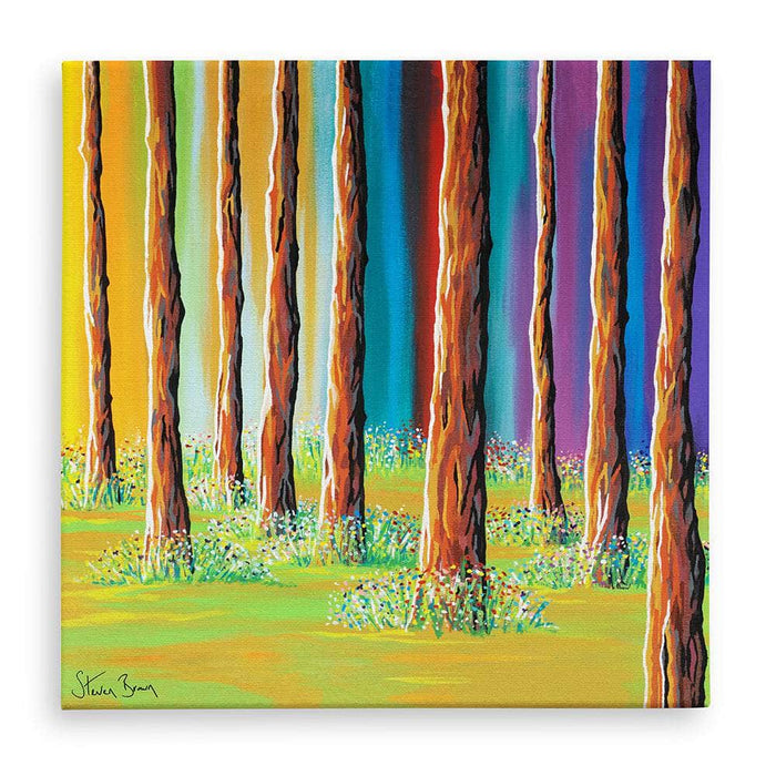 Galloway Forest - Canvas Prints