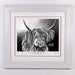 Lizzie McCoo The Noo - Platinum Limited Edition Prints