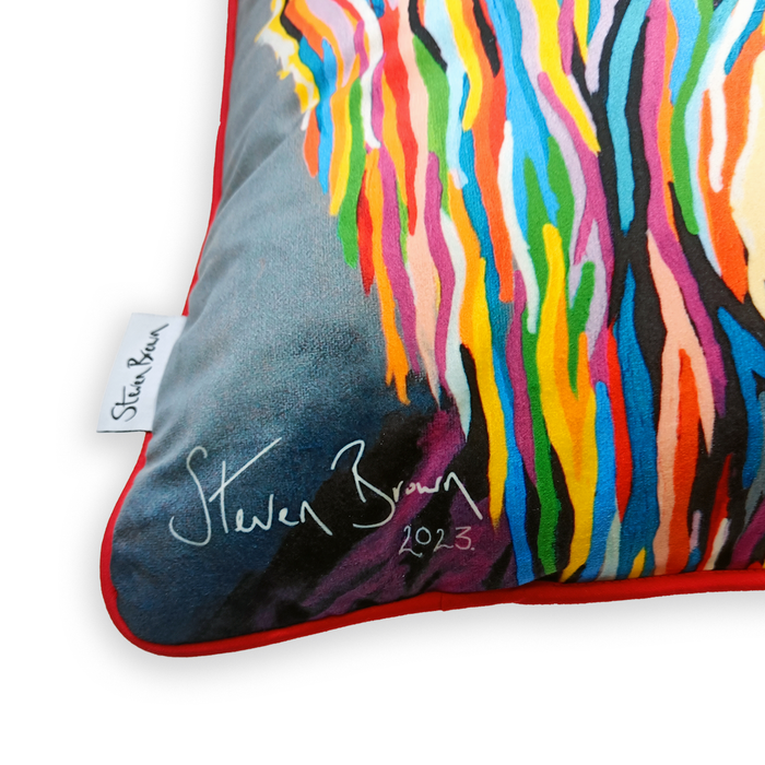 Luxury Dual Design Cushion – Royal McCoos
