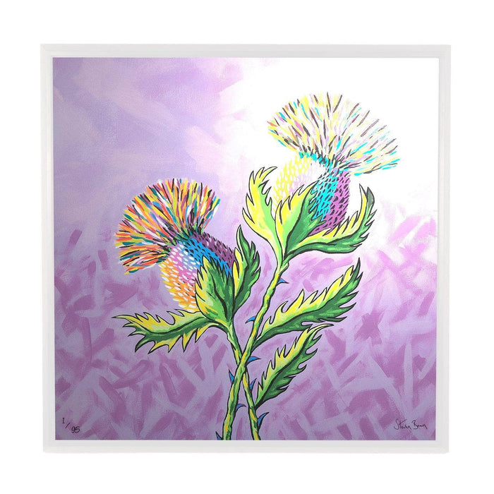 McThistles - Framed Limited Edition Aluminium Wall Art