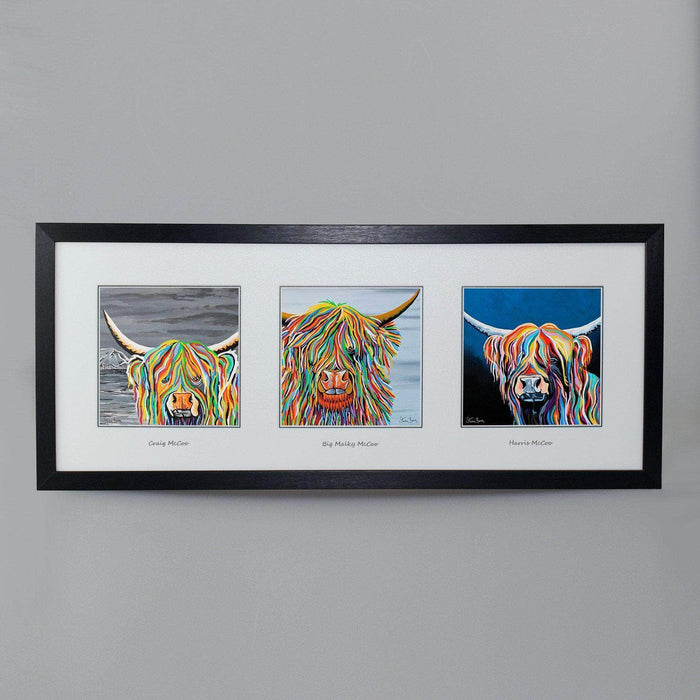 Mr McCoos Collection - Triptych