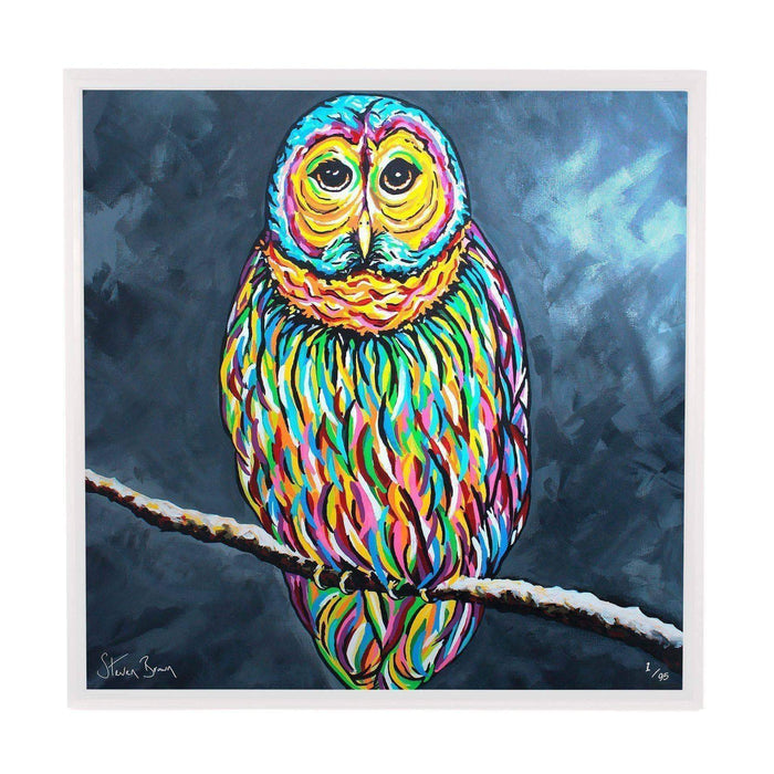 Ollie McOwl - Framed Limited Edition Aluminium Wall Art