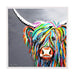 Rab McCoo - Framed Limited Edition Aluminium Wall Art