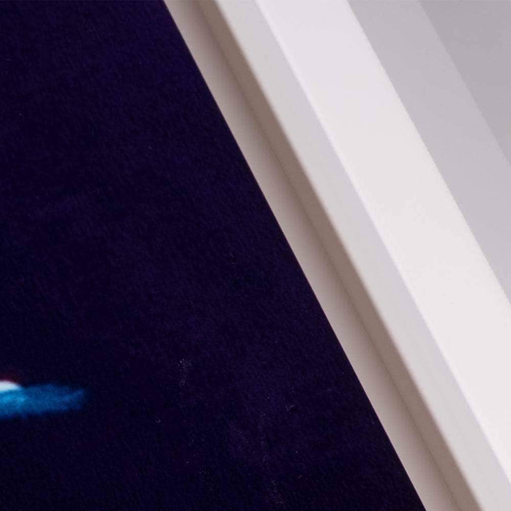 Scottish Summer | Limited Edition Wall Art | Steven Brown Art