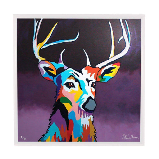 Tam McDeer - Framed Limited Edition Aluminium Wall Art